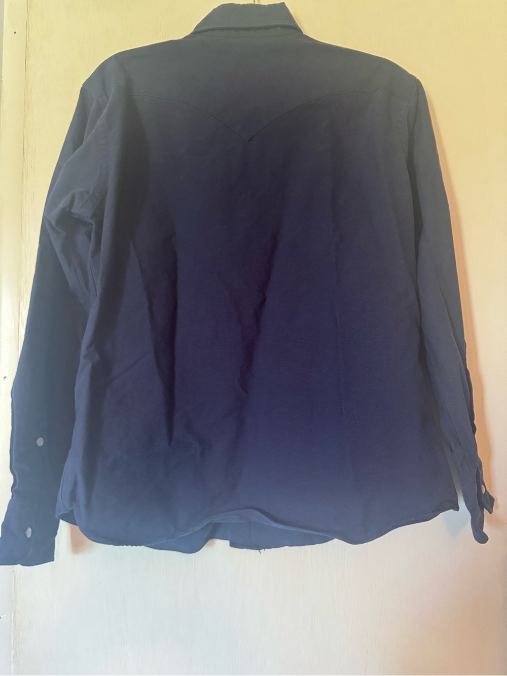 Hamilton pearl snap button down - Picture 7 of 9